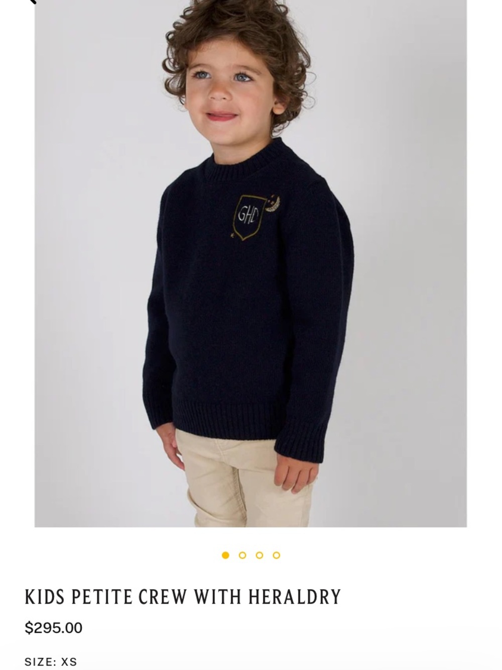 Le Lion sweater